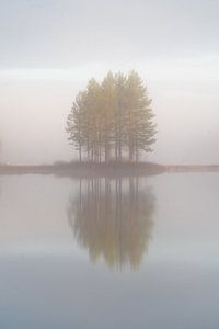 Petite île dans le brouillard.