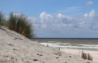 Sea view from the dunes