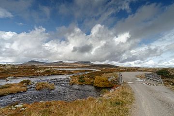 Autumn colours at Norway