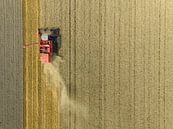 Tarweoogst in de zomer van bovenaf gezien van Sjoerd van der Wal Fotografie thumbnail
