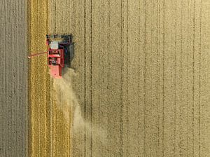 Weizenernte im Sommer von oben gesehen