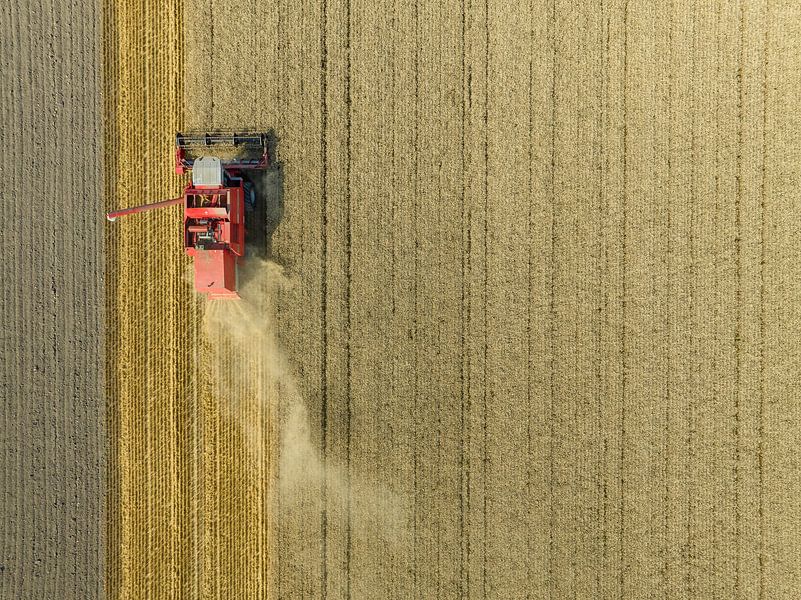 Tarweoogst in de zomer van bovenaf gezien van Sjoerd van der Wal Fotografie