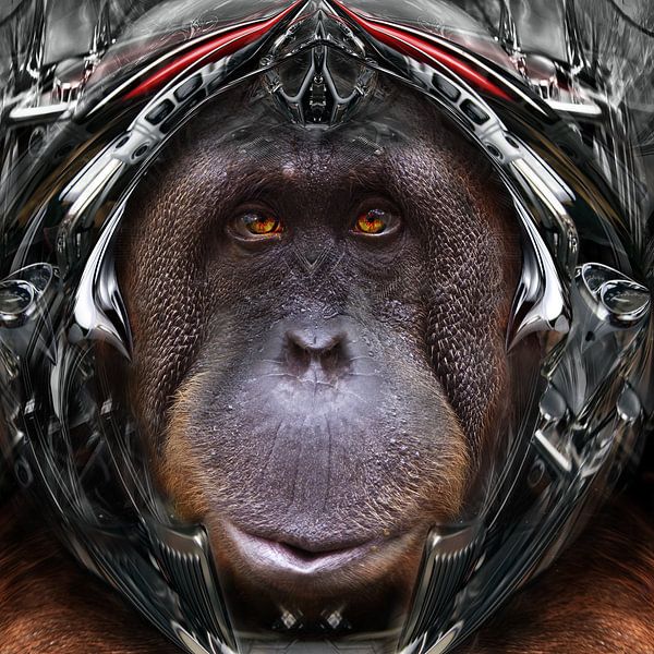 Astro Orang Pluton von Rudi Lippi
