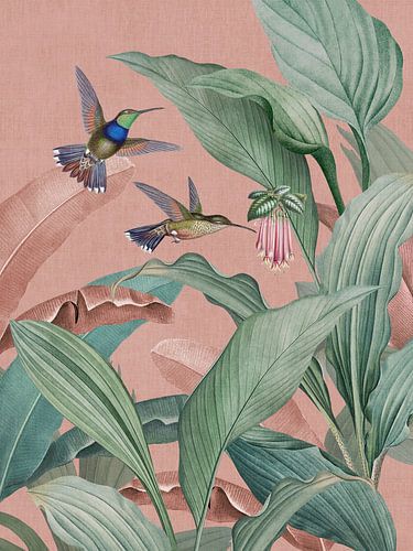 Vintage-Kolibris und tropischen Dschungel Blätter und exotische Blumen rosa