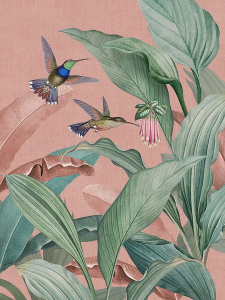 Vintage hummingbirds and tropical jungle leaves and exotic flowers pink by Bloomery Decor