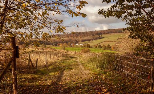 Buurtschap De Piepert bij Eys in herfstkleuren