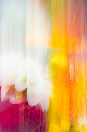 Fleurs abstraites modernes sur Sander van Laar