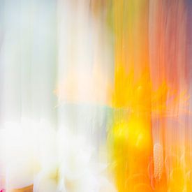 Modern abstract bloemen van Sander Van Laar