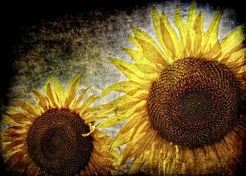 Amazing Sunflowers van Ruud van den Berg