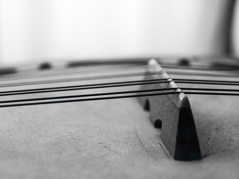 Strings and bridge detail by Mr White Takes Pictures