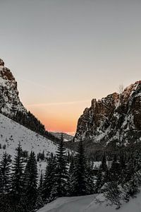 Winter-Vibes