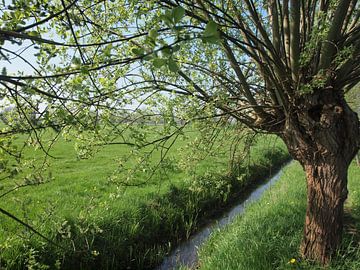 Hollands Landschap van Annie Lausberg-Pater