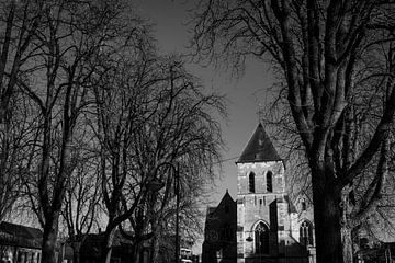 Oude bomen rond de kerk in Berlare van Imladris Images