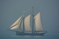 Segelschiff bei Vlissingen