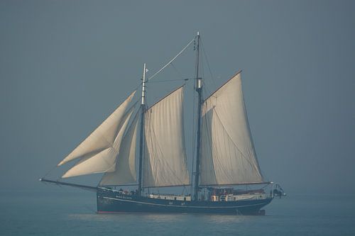 Sail ship near Vlissingen van Teus Reijmerink