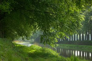 Idyllisches Markelo im Sommer