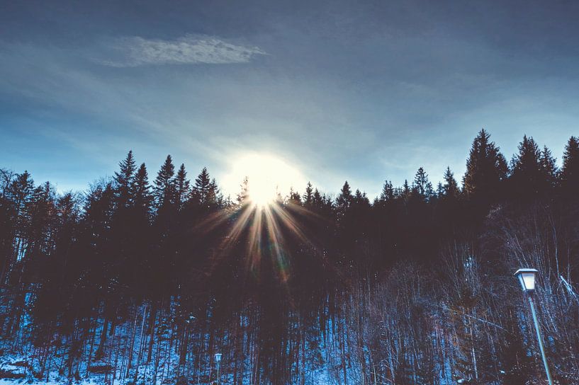Bayerische Sonne küsst Wald von Roith Fotografie