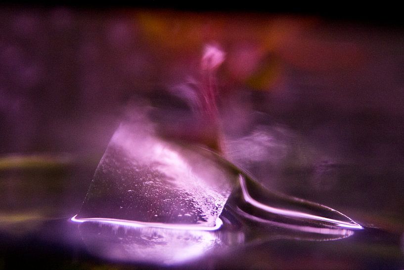 Licht speelt met kleur van trilisious picks