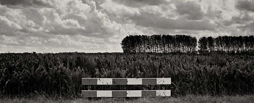 No access by Eric van Nimwegen