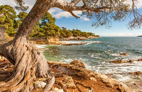 Island paradise: the Île Sainte-Marguerite