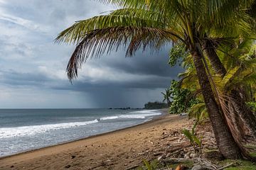 tropisch strand met dreigend onweer... van Anneke Reiss