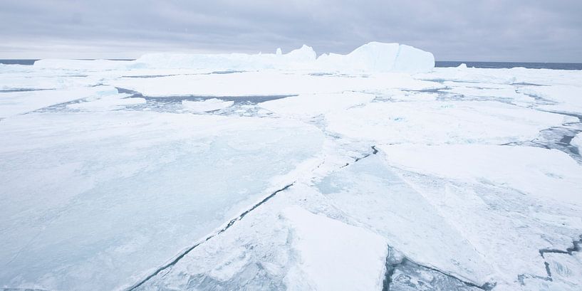 IJsschotsen bij Antarctica von Sietske Ebus-Mulders