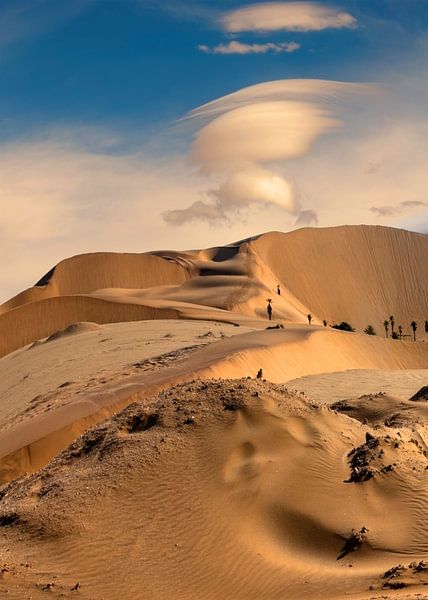 The desert by Alex Neumayer