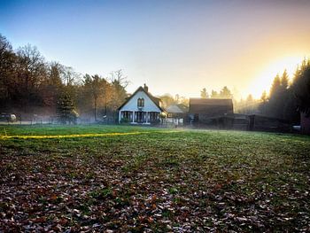 Gouden zonsondergang in een mistige bos (Nederland).