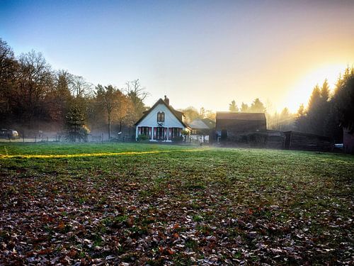 Gouden zonsondergang in een mistige bos (Nederland).