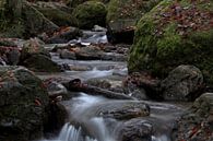 Foto van een Ardennen rivier met watervallen van Cor Brugman thumbnail