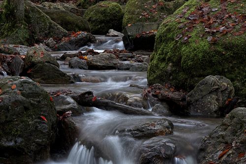 Rocks with leaves in a river with waterfall in the Belgian Ardennes