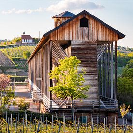 Gradierbau (zoutziederij) in het kuurpark van Bad Dürkheim met uitzicht op de St. Michaelskapel van Fabian Bracht