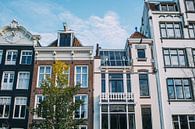 Amsterdam Huizen par Patrycja Polechonska Aperçu