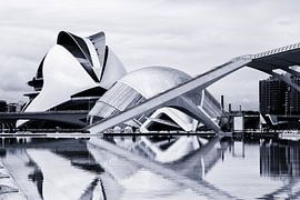 Valencia, City of Arts  and Science zwart/wit by Bert Meijer