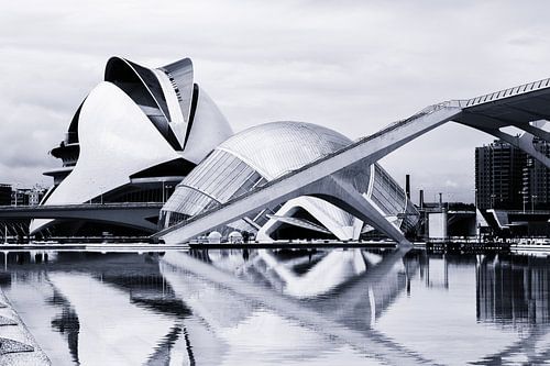 Valencia, City of Arts  and Science zwart/wit