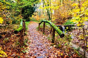 Herbst - Foto einer Holzbrücke mit Moos und Wasserfall