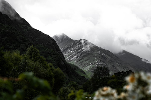 La nature dans la région de Glencoe, dans les Highlands écossais, en Écosse