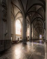 Man praying in the Saint John's Cathedral - Den Bosch