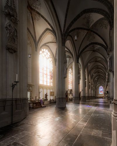 Man aan het bidden in de Sint-Janskathedraal - Den Bosch