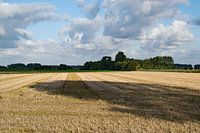 Soleil dans le polder