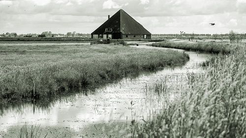 The farm in the Schaalsmeerpolder is awaiting new residents.