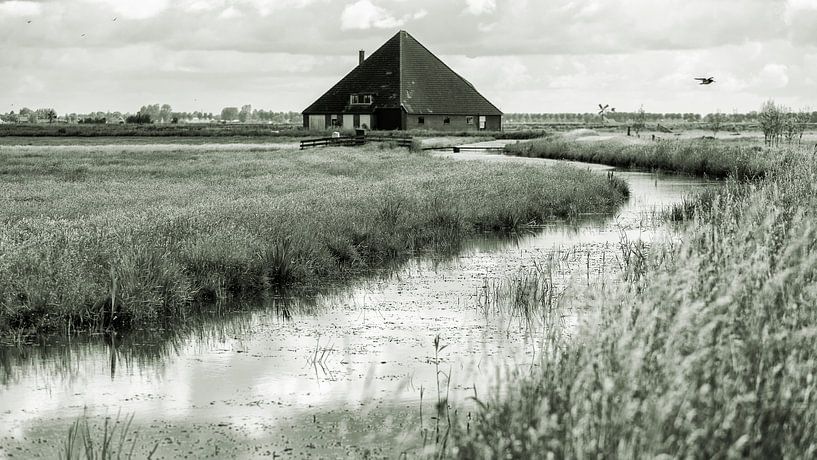 Der Bauernhof im Schaalsmeerpolder wartet auf neue Bewohner. von Hans de Waay