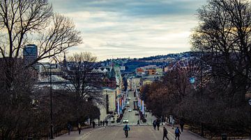 Oslo, la ville du troll sur Quin van Saane