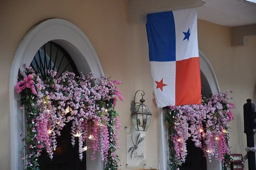 De vlag van het land