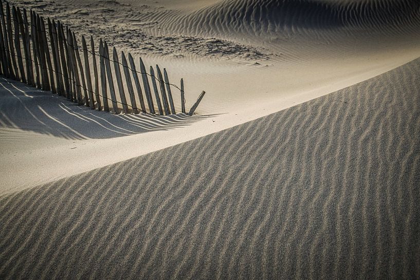 sun, shade and wind by the sea by Dirk van Egmond