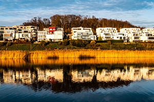 Spiegelung Einfamilienhäuser im Phönixsee in Dortmund Ruhrgebiet