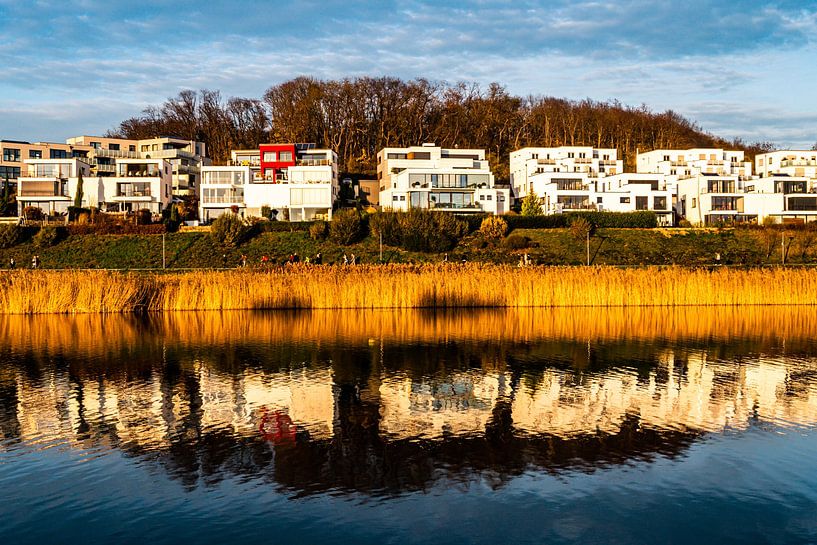 Spiegeling van vrijstaande huizen in het Phoenixmeer in het Ruhrgebied van Dortmund van Dieter Walther