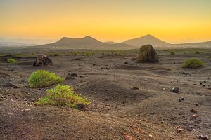 Vulkanlandschaft auf Lanzarote in der Morgendämmerung