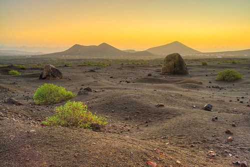 Volcanic landscape on Lanzarote at dawn