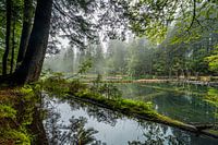 Lake Constance Nassfeld